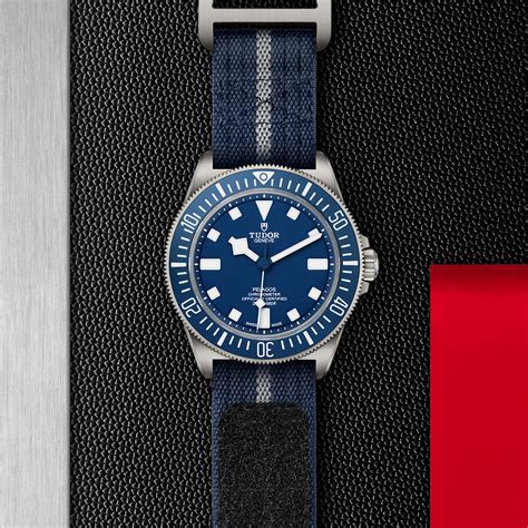 tudor pelagos m25707b/22-0001|tudor pelagos fxd black bay.